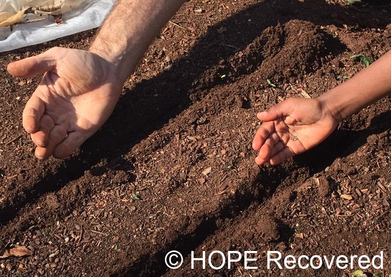 sowing Abundant reward of biblical investment strategy