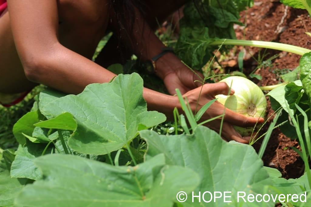 garden-1 The time is now